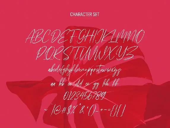 Florentroses Signature Font