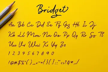 Bridget Monoline Script Font