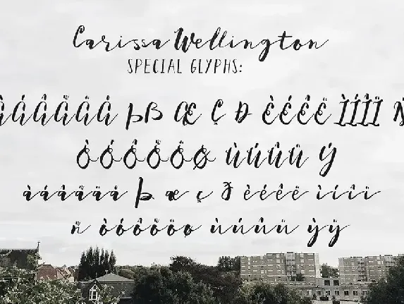 Carissa Wellington font