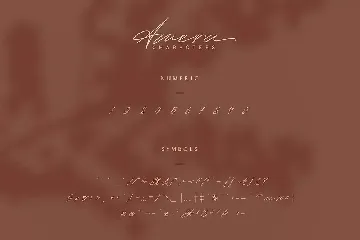 Amera - Signature Script Font