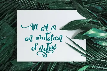 Tropical Summer Font