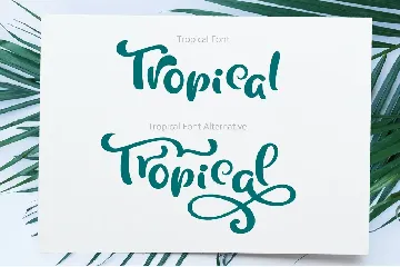 Tropical Summer Font