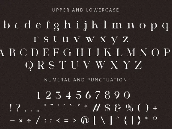 Modern Serif Display Font