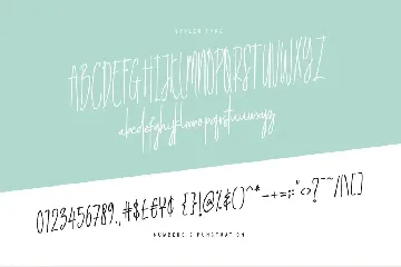 Pudding font