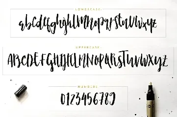 Nicoline font