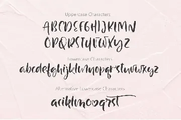 Just Case Modern Script Font