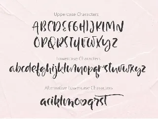 Just Case Modern Script Font