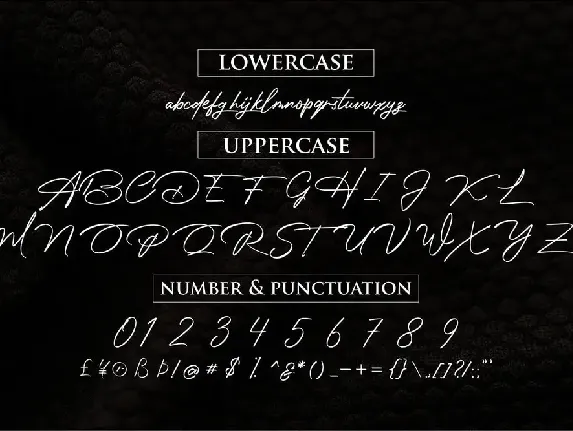 Photograph Signature font