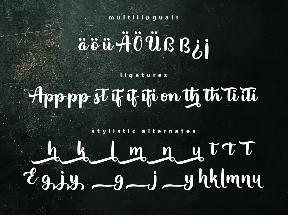 Appetizer | Modern Script Font