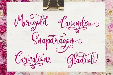 Camellia Script font