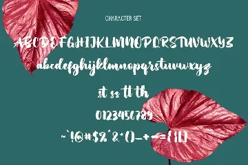 Hopipolla Script Font