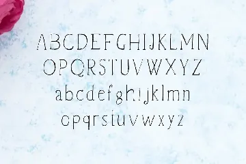 Vanett Handmade Font