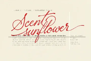 Sacred Letter font