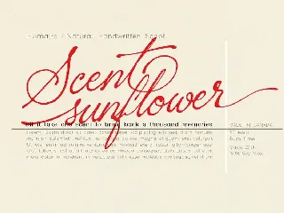 Sacred Letter font