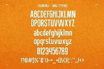 Essentials - Sans Serif Typeface font