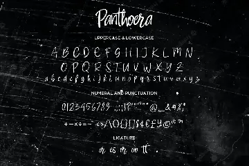 Panthoera - Handwritten Script fonts