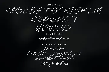 Falernola Modern Handwritten Font