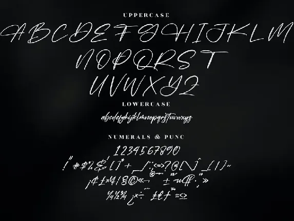 Falernola Modern Handwritten Font