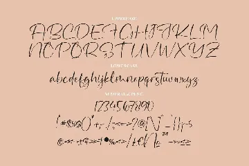 Beautiful Kaligan Script Font