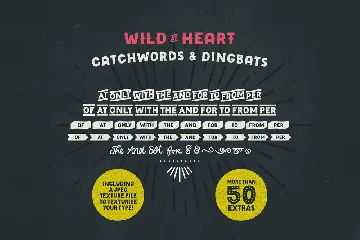 Wild Heart Decorative Display Family font