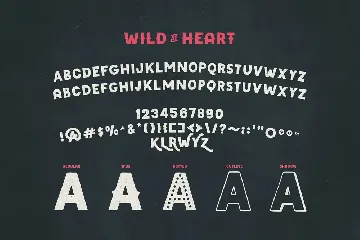 Wild Heart Decorative Display Family font