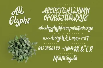 Alora typeface font