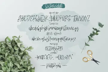 Sisterfields Script font