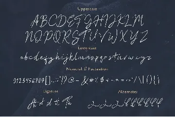 Hesgaki - Luxury Signature Font