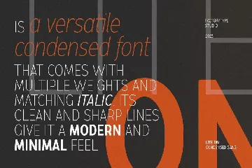 LiteOn Condensed font