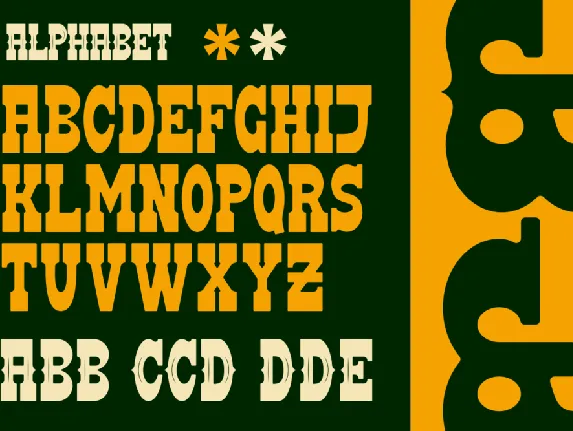 DOMINANT - A Modern Wastern Font