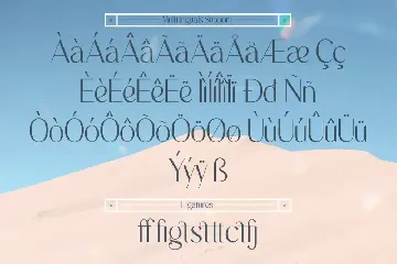 Magiesta - Elegant Display Sans Serif font