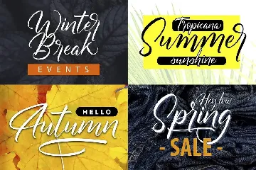 Margaritha-Tropicana | Unique Brush Script Font