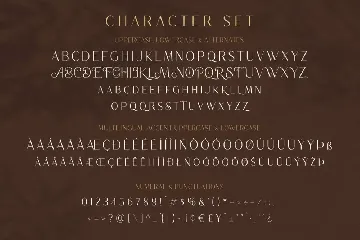 The Quality - Luxurious Sans font