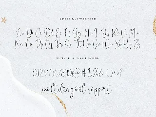 Wildstar Script Font