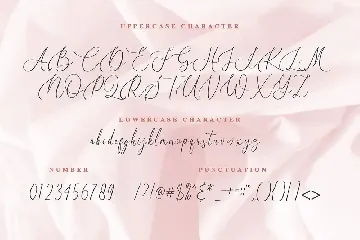 Birallina - Romantic Script Font