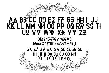 Rogertype font