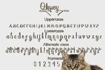 Qlinsey font