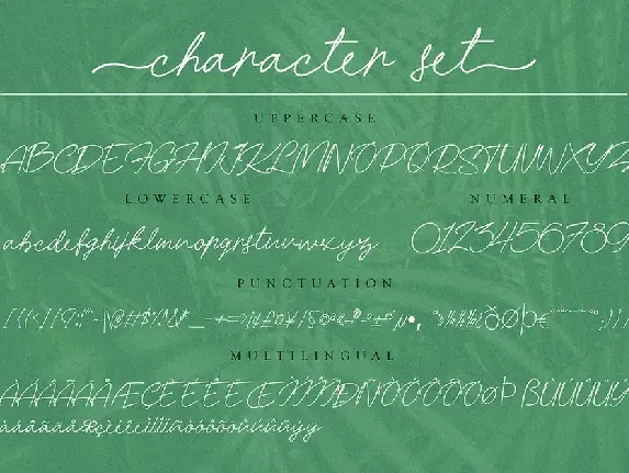 Hanamara font