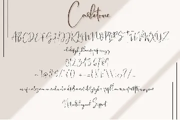 Carletone - Classy Signature Script font