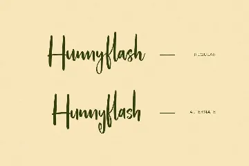 Hunnyflash Handwritten Font