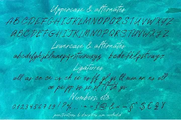 Paradise Beach Script Font Textured