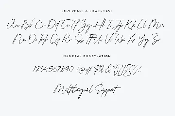 Autographer font