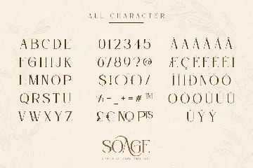 Soage-Modern Sans Serif Font