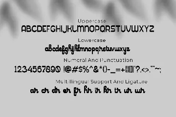 Brader, Display Font