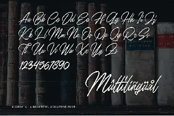 Hustonia - Script Font