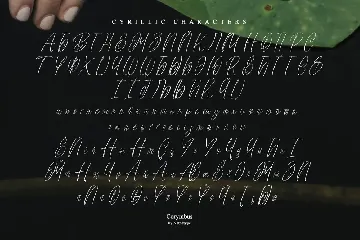 Corymbus font