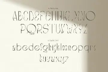 Stockist Elegant Display font