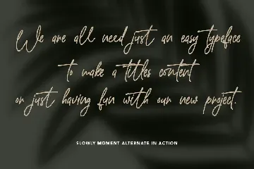 Slowly Moment Clean Monoline Script Font