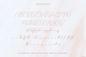 Collibryums Signature Font Extra Swash