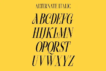 Beachwalk | Elegant Retro Serif font